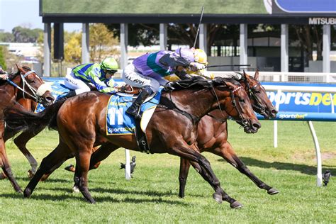 2024 Blue Diamond Stakes Results: Hayasugi Becomes Second .